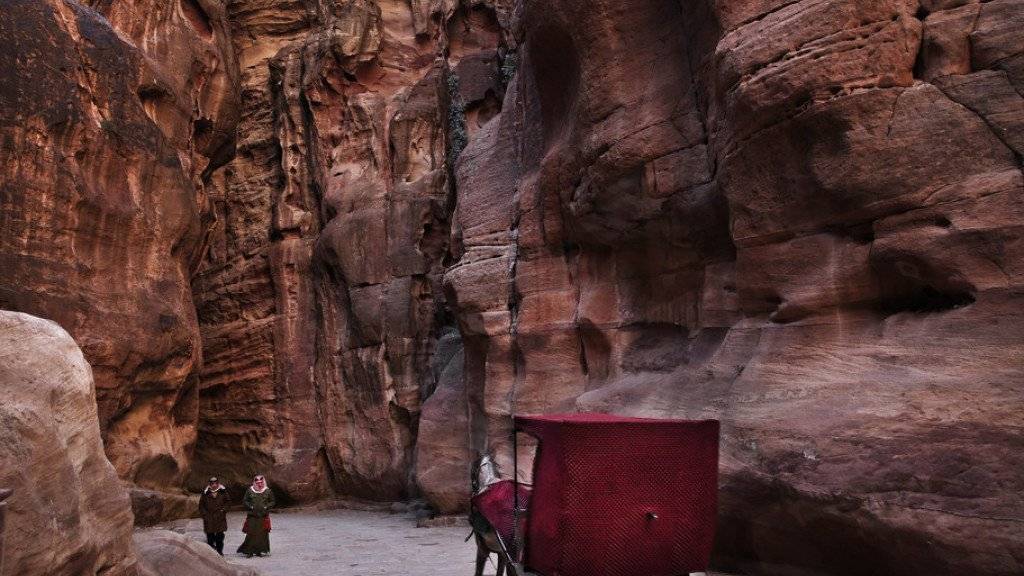 Hunderte Pferde und Esel werden im Touristenmagnet Petra eingesetzt, um Menschen und Tiere zu den Ruinen und zurück zu bringen. Neue Regeln sollen die Tiere nun besser Schützen. (Symbolbild)