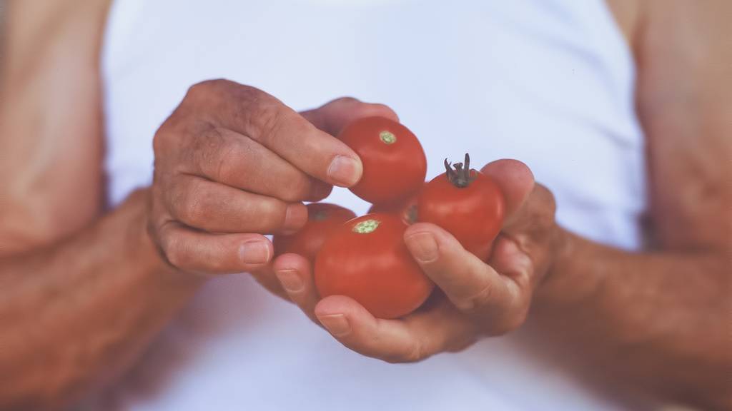 Tomaten sind fein.