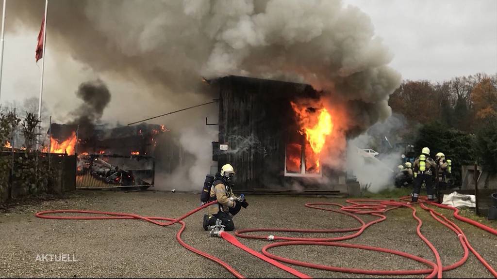 86-Jähriger stirbt bei Brand in Aesch (BL)