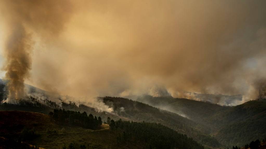 In Galizien im Nordwesten Spaniens wüteten im August weitflächige Waldbrände. (Archivbild)