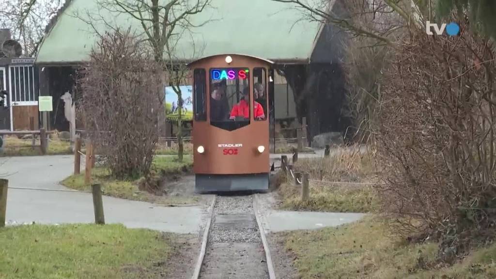 Abschied nach über 60 Jahren: Knies Kinderzoo ersetzt Rösslitram durch modernes E-Tram