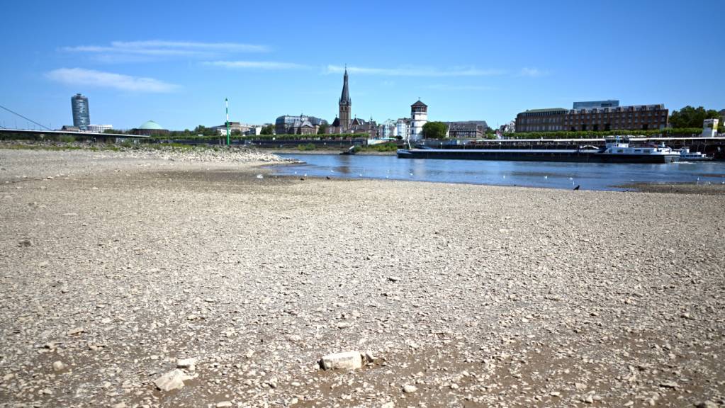 ARCHIV - Ein Schiff fährt bei niedrigem Wasserstand auf dem Rhein. Die Pegelstände entlang des Rheins sind zurzeit sehr niedrig. Foto: Federico Gambarini/dpa