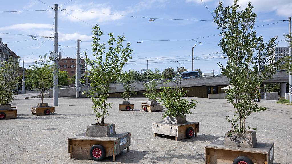 Urbane Lebensräume weisen wenig Biodiversität auf.