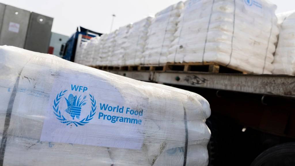 ARCHIV - Humanitäre Hilfsgüter des Welternährungsprogramms der Vereinten Nationen am Grenzübergang Kerem Schalom. Foto: Christoph Soeder/dpa