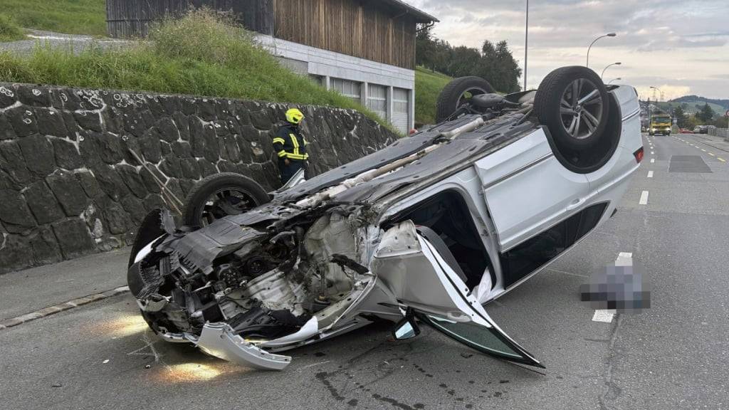 Bei Küssnacht verletzte sich eine Autofahrerin bei einem Selbstunfall.