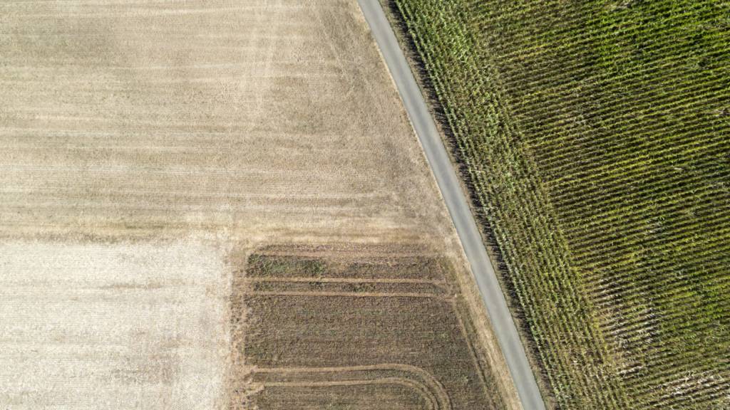 Landwirtschaft meldet Dürreschäden von über 19 Millionen Franken