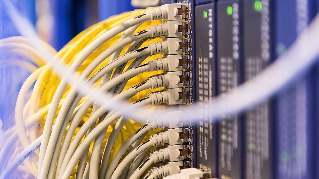 Das neue Thurgauer Institut forscht im Bereich Digitalisierung. (Symbolbild)