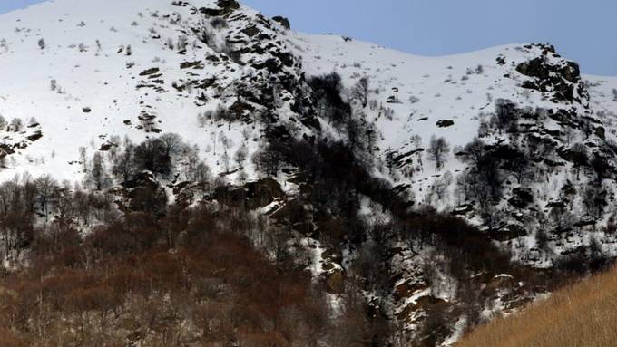 Studie: Klimawandel wird Schweizer Wälder verändern