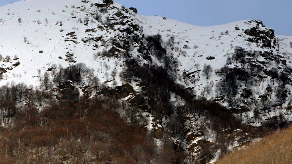 Die Vegetationsgrenze dürfte sich wegen des Klimawandels um 500 bis 700 Meter nach oben verschieben. (Symbolbild)