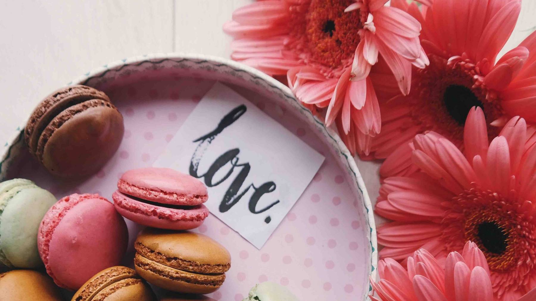 brigitte-tohm-329291