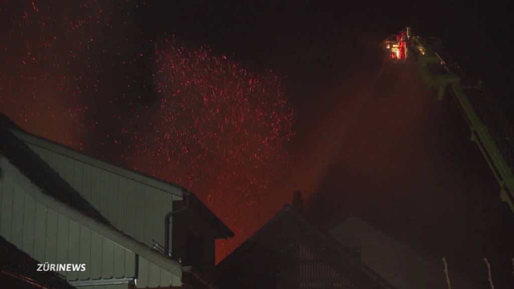 Kantonspolizei Zürich verhaftet Brandstifterin von Elgg