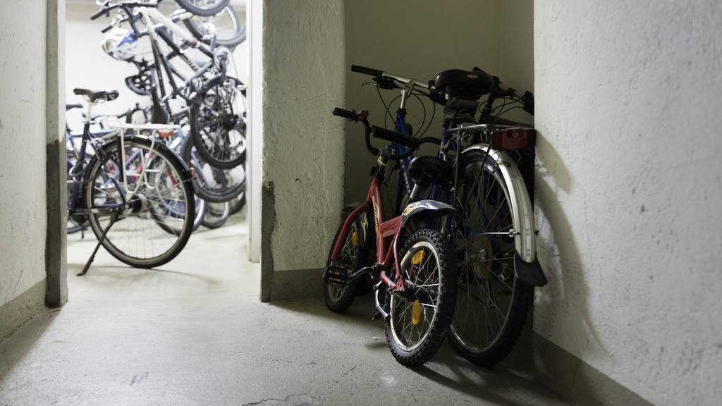 Achtung: Professionelle Velodiebe!