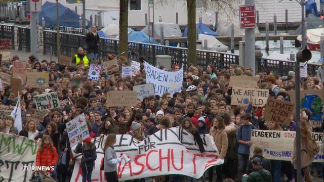 Hunderte Schüler demonstrieren gegen Klimawandel