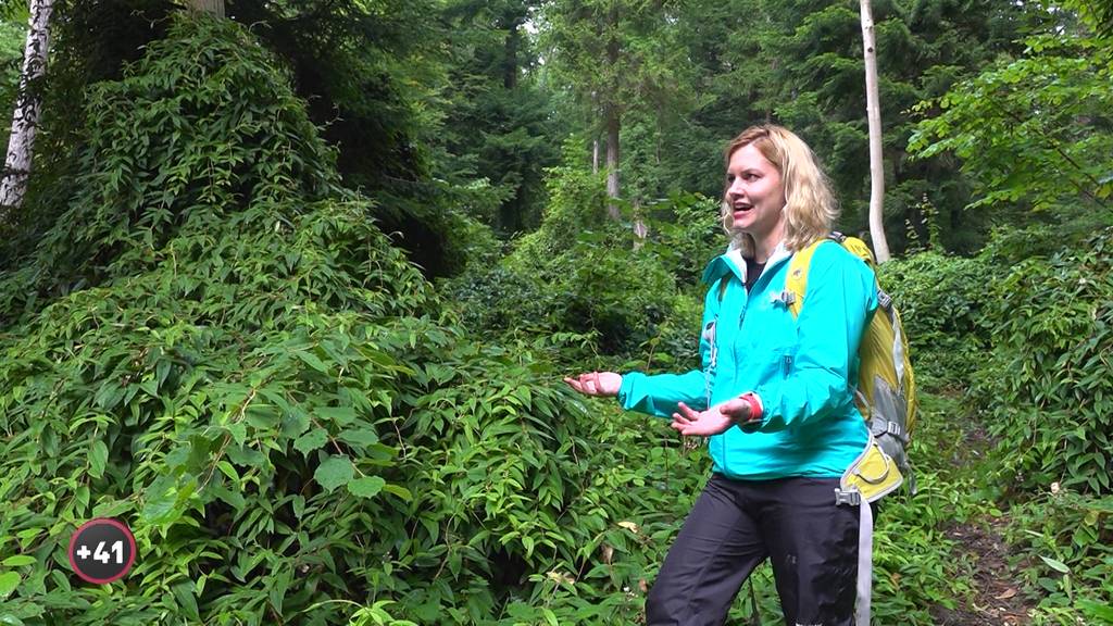 Waldmenschen: Kampf gegen Exoten