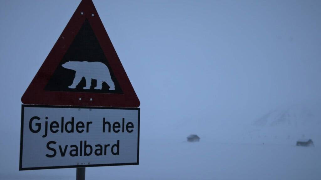 ARCHIV - Ein Verkehrsschild warnt auf der nordnorwegischen Inselgruppe Spitzbergen vor Eisbären (Archivbild). Foto: Steffen Trumpf/dpa