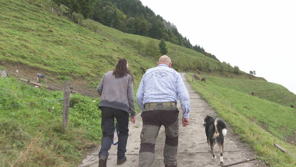 Auf der Alp Wissiflue bereitet man sich auf den Alpabzug vor