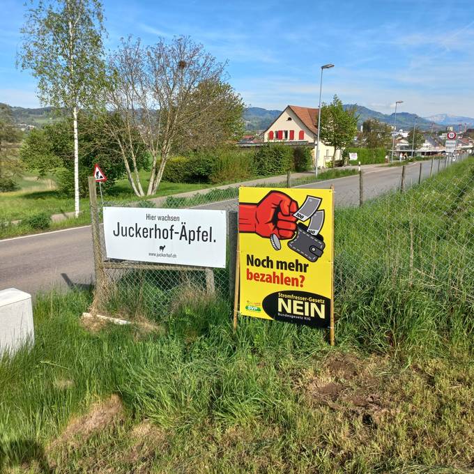 Zoff um Zentimeter: SVP-Plakat erzürnt Juckerhof in Seegräben