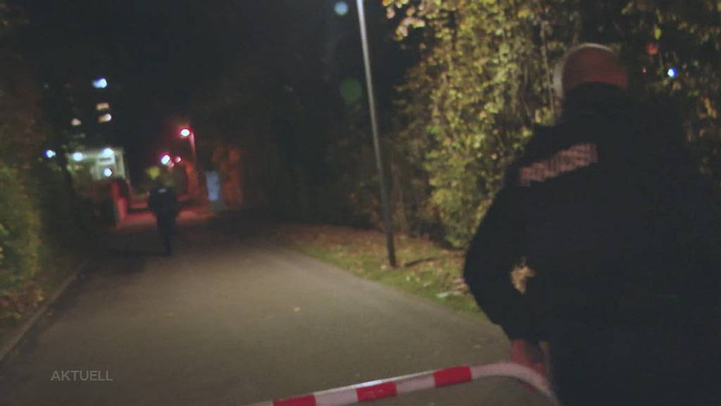 Halloween-Patrouille: So erlebte die Regionalpolizei Wohlen die Geisternacht