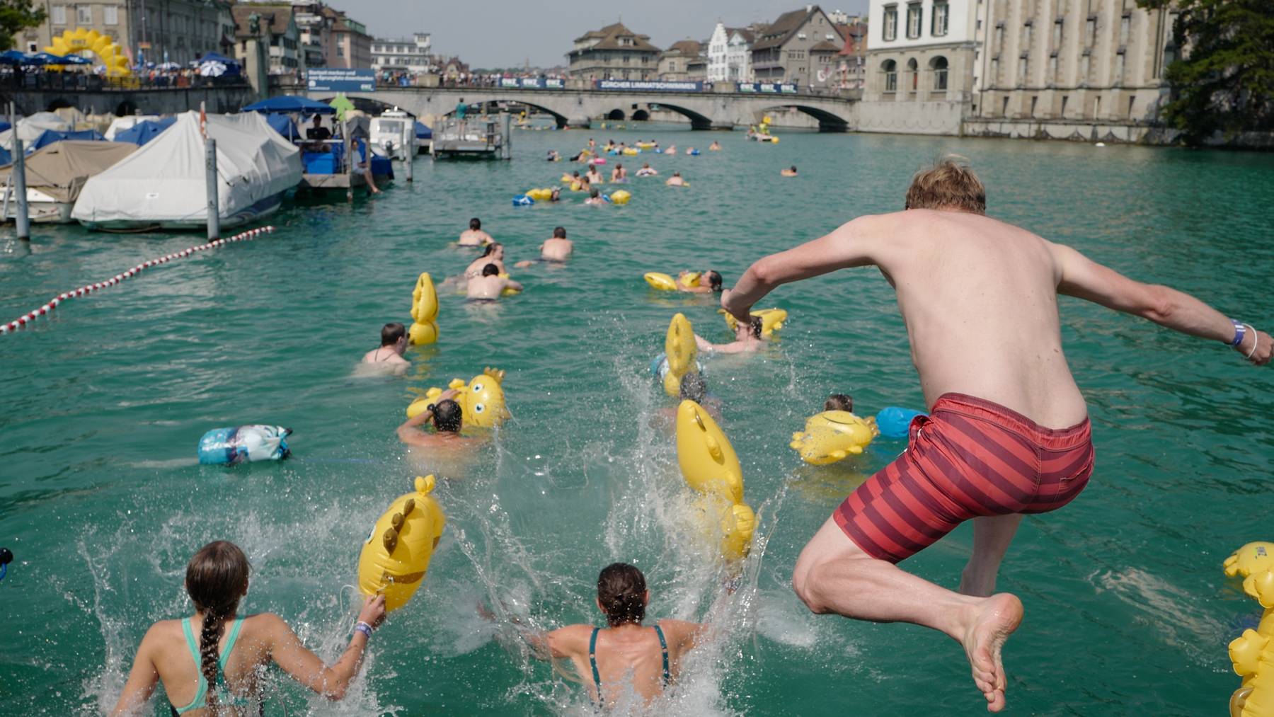 Limmatschwimmen