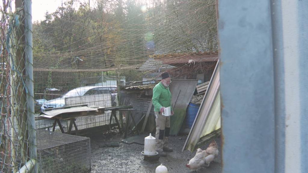 Vogelgrippe-Alarm im Thurgau