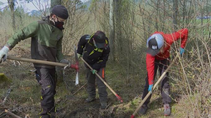 Projekt «there-for-trees»: Klasse pflanzt Bäume gegen den Klimawandel