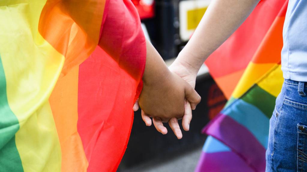 Heterosexuelle setzen sich eher für die Gleichstellung homosexueller Paare ein, wenn sie Freunde oder Bekannte in der homosexuellen Community haben. Letztere engagieren sich aufgrund solcher Kontakte womöglich weniger für die eigenen Rechte.