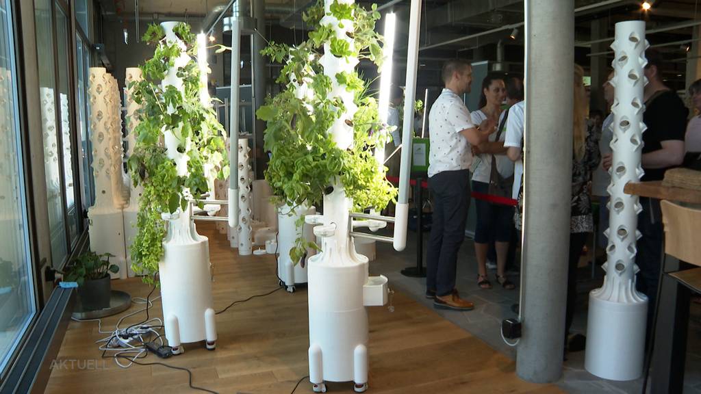 3D-Drucker produzieren Gemüsetürme für Hobbygärtner ohne Garten