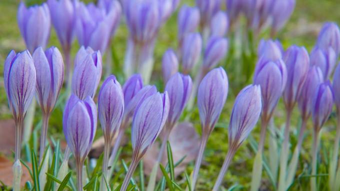 Perfekter Start in den Frühling