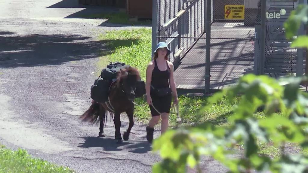 17-Jährige wandert mit einem Pony auf dem Jakobsweg – durch die Zentralschweiz