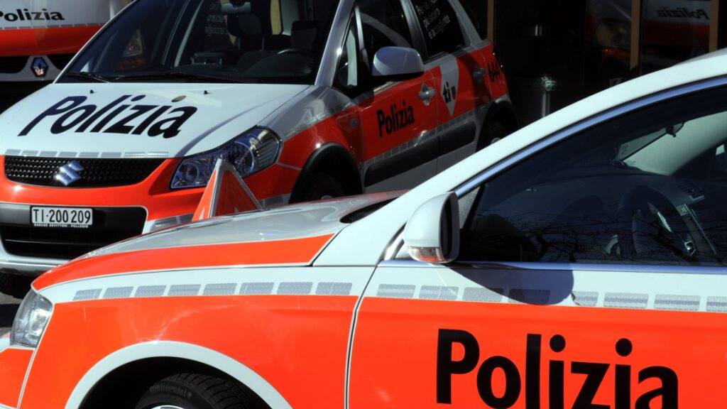 Die Kantonspolizei Tessin musste wegen eines Brandes in Minusio ausrücken (Symbolbild)