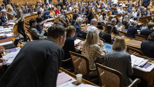 Neutralitätsinitiative kommt im Nationalrat nicht gut an