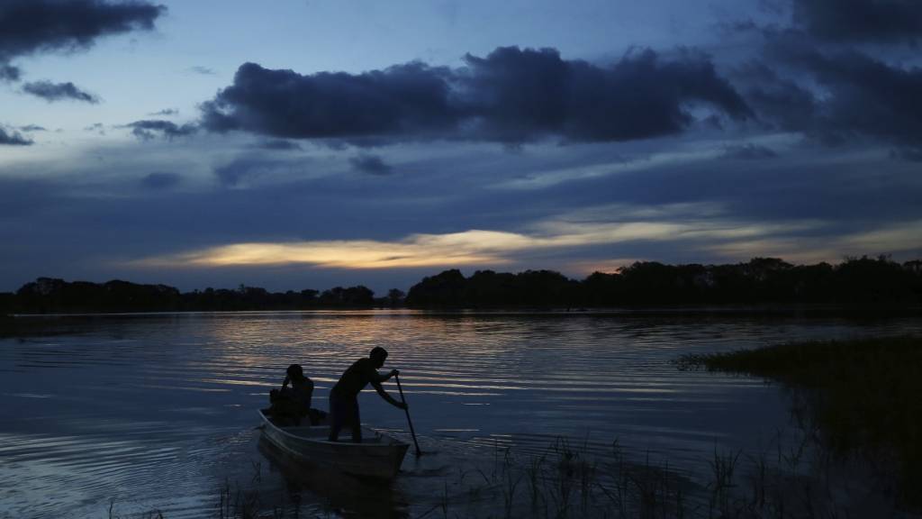 Auch im Amazonas gibt es laut Forschern höhere Quecksilber-Werte. (Archivbild)