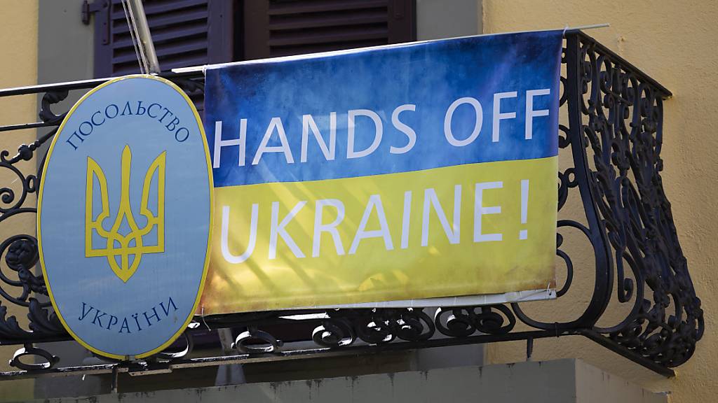 Friedensrat-Geschäftsführer für Weitergabe von Munition an Ukraine