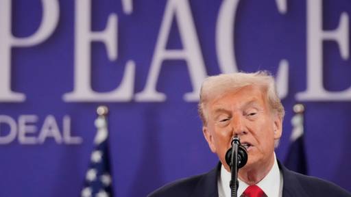 Trump: «Friedensrat» stellt Milliarden für Gaza-Hilfe bereit