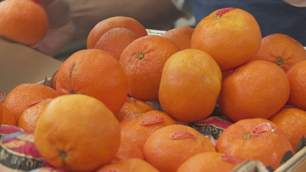 Weihnachtsserie Teil 3: Mandarine-Givrée