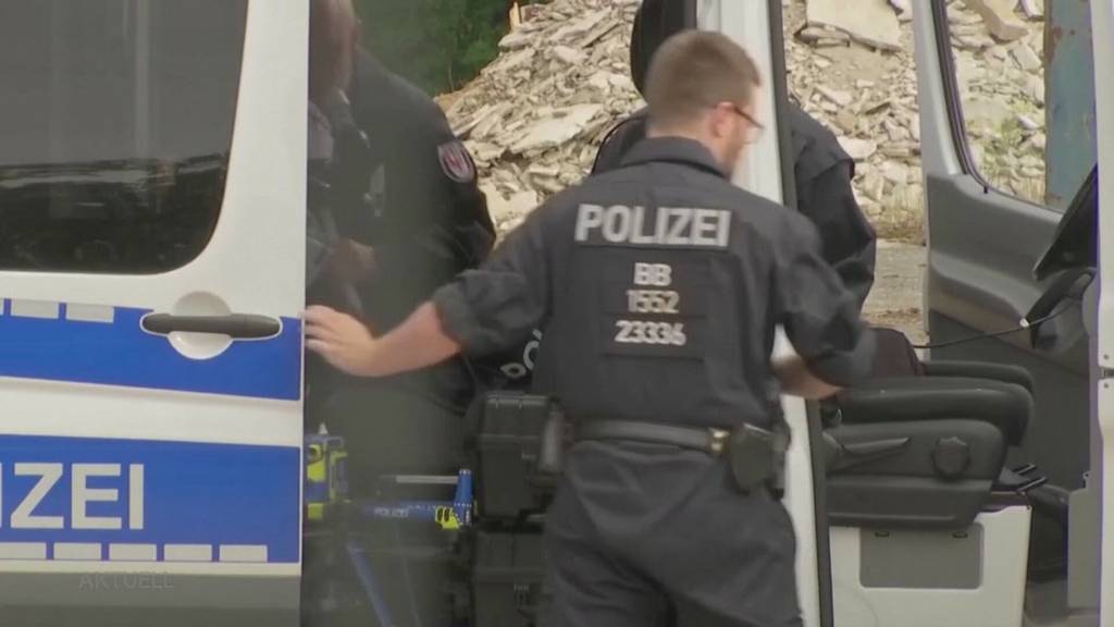 Löwe ausgebüxt: In Berlin sucht die Polizei nach einer Raubkatze