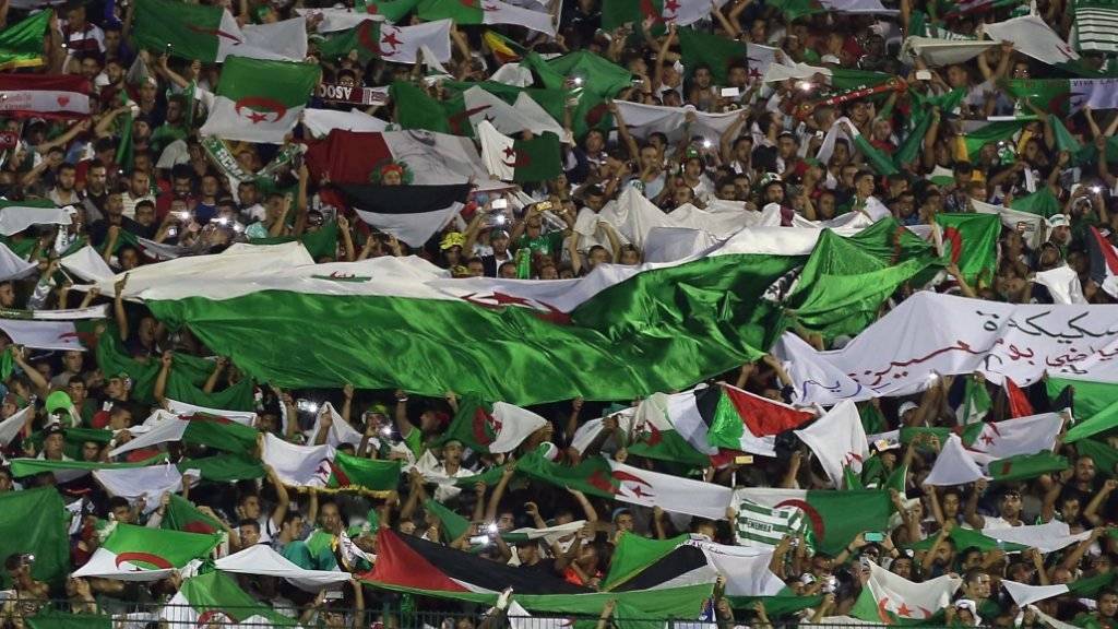 Algerien wird neu von Fussball-Idol Madjer betreut.