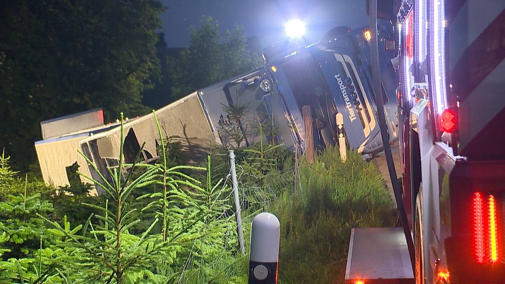 Fahrwangen (AG): Tiertransporter verunfallt -  mehrere Schweine verstorben