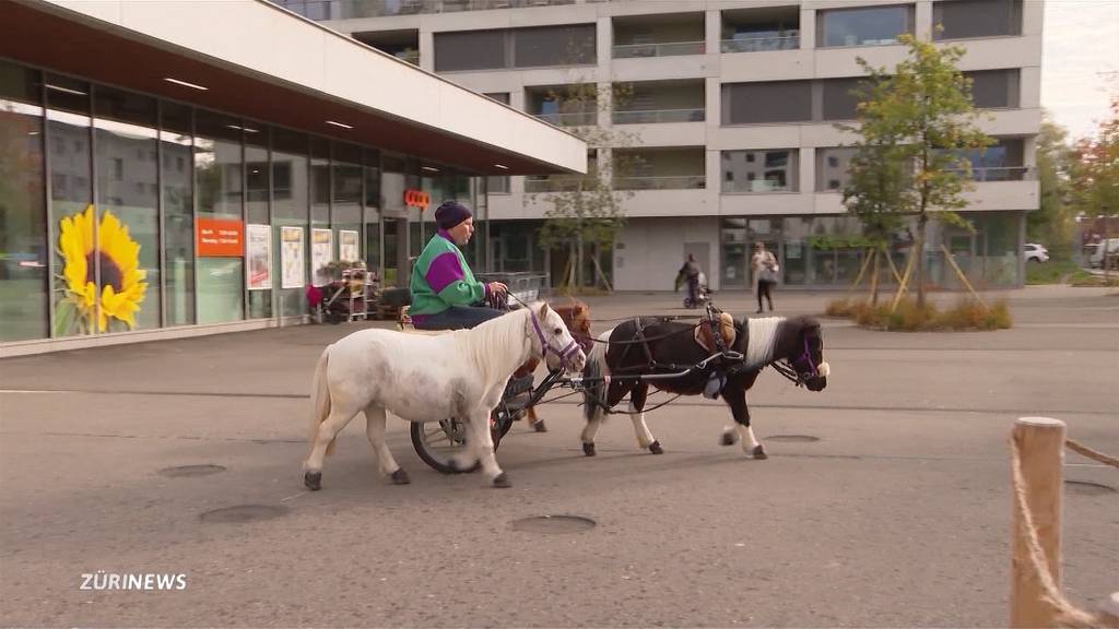 Mit Ponys und Kutsche zum Einkaufen