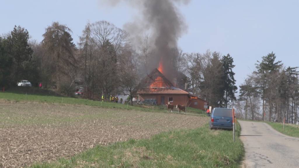 Bauernhaus in Vollbrand