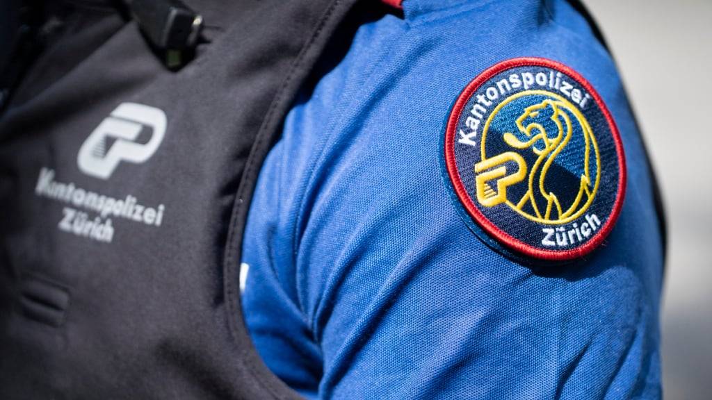 In der Halloween-Nacht hatte ein Gruppe junger Männer in Meilen andere Jugendgruppen angegriffen. Sie bedrohten und verletzten sie teilweise. Einige Geschädigte zwangen sie, sich bis auf die Unterwäsche ausziehen. Danach raubten sie sie aus. Nun wurden drei weitere Männer festgenommen. (Archivbild)