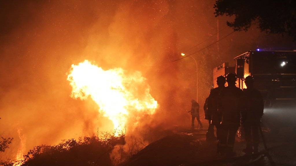 Feuerwehrleute im Kampf mit den Flammen bei Biguglia auf Korsika.