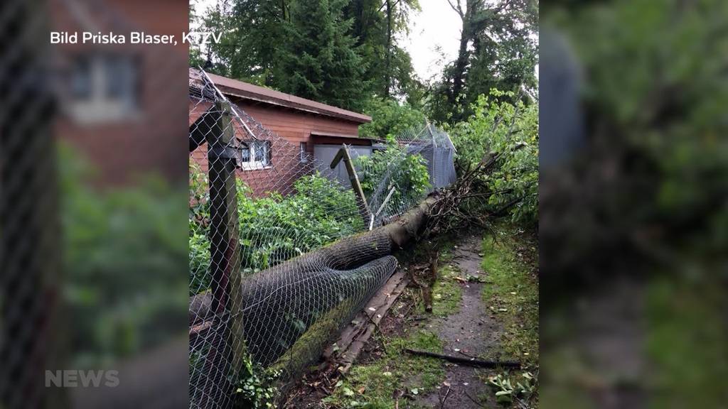 Unwetterschäden: Kleintierstation Derendingen bangt um Existenz