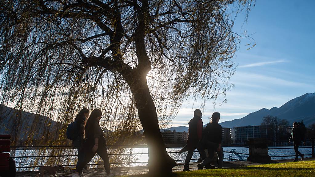 Das Wetter hat über Weihnachten verrückte gespielt: Während es etwa in Locarno TI über 22 Grad warm wurde, lag laut SRF Meteo in den Bergen Schnee in Rekordmengen. Im Bild die Seepromenade in Locarno am 23. Dezember.