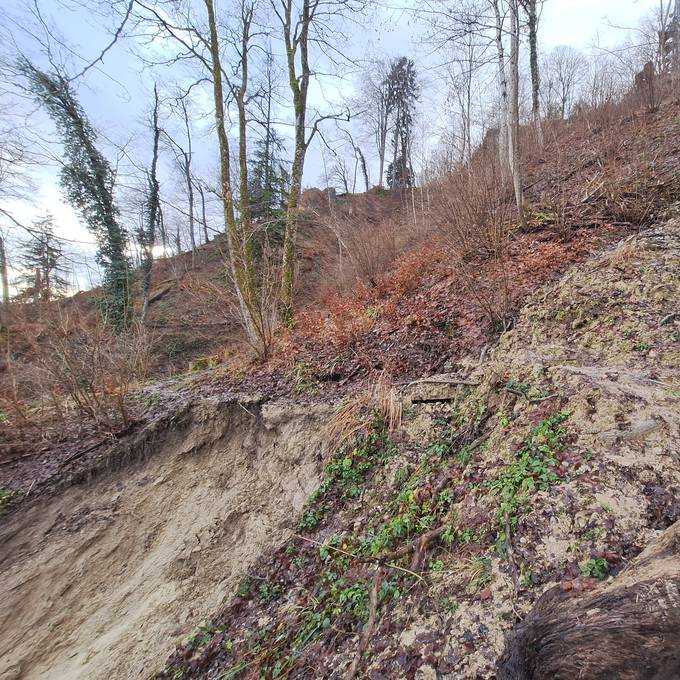 Regenwetter setzt dem Zürcher Hausberg zu