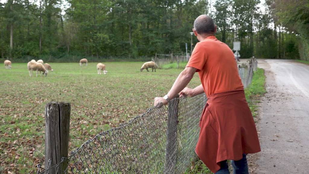 Unterwegs mit Demenz: Ein Nachmittag im Jetzt