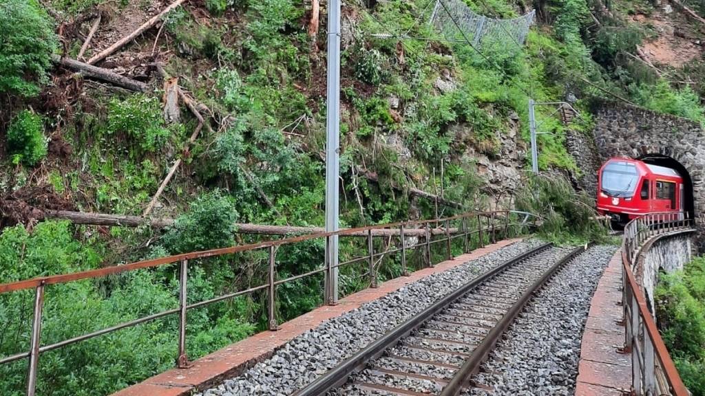 Zwischen Davos Glaris und Davos Wiesen stoppte eine Tanne auf den Gleisen den Bahnverkehr.