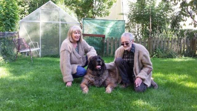 Hundehaar-Jacken fertig