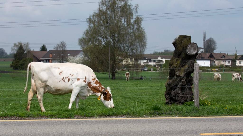 Die Zürcher Gemeinde Schwerzenbach hat besonders grosses Potenzial für zusätzlichen Wohnraum durch Verdichtung.  (Archivbild)