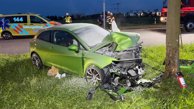 Autofahrerin prallt in einen Baum – zwei Personen verletzt